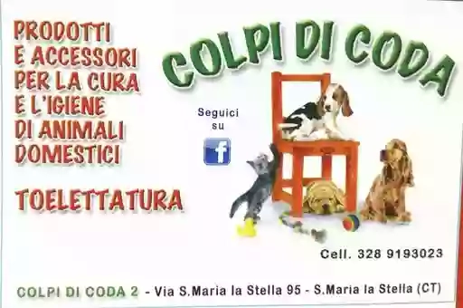 Colpi di Coda 2