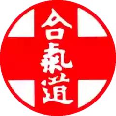 Aiki Buikukai Italia