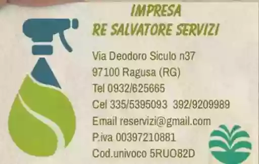 impresa re servizi