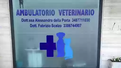 Ambulatorio veterinario Della Porta Alessandra e Scalzo Fabrizio