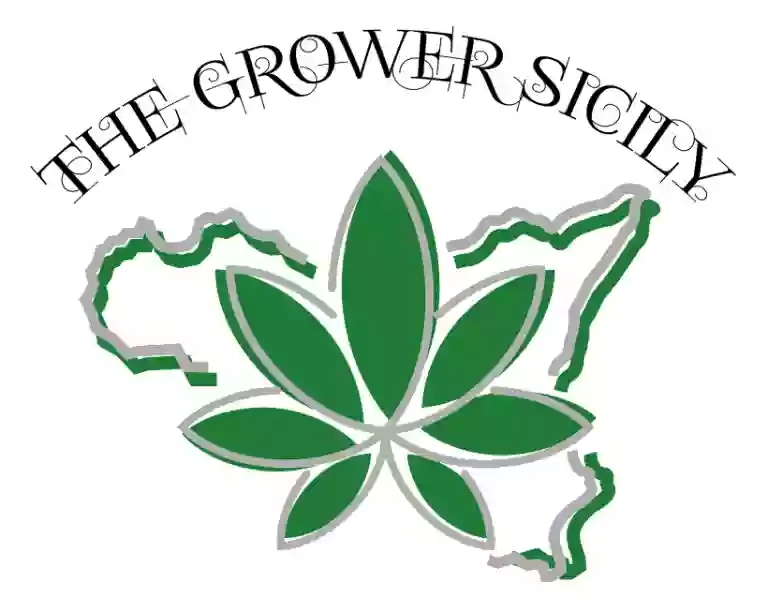 The Grower Sicily • Canapa Store