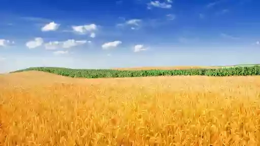 L'Agraria di Rigato