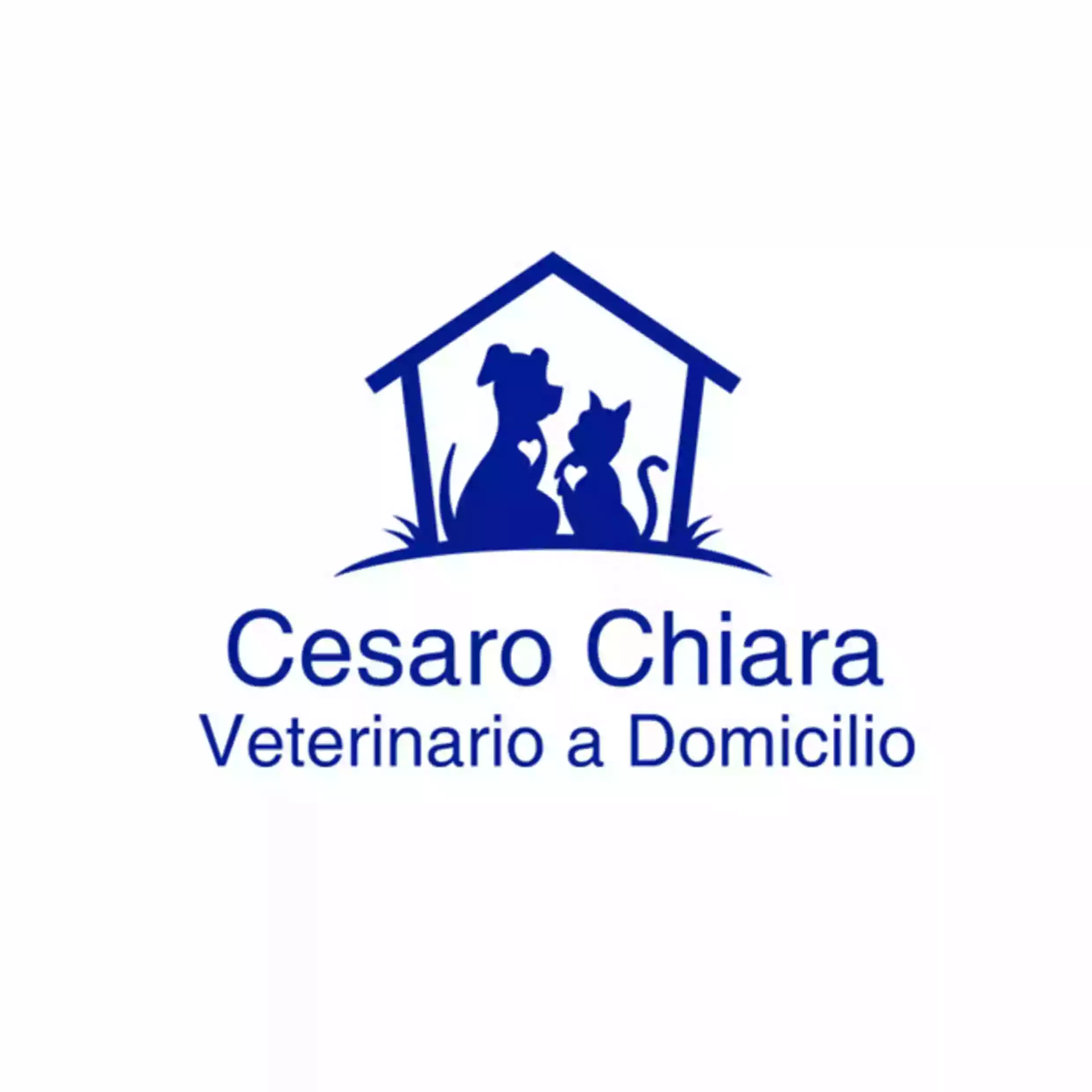 Veterinario a Domicilio - Cesaro Chiara