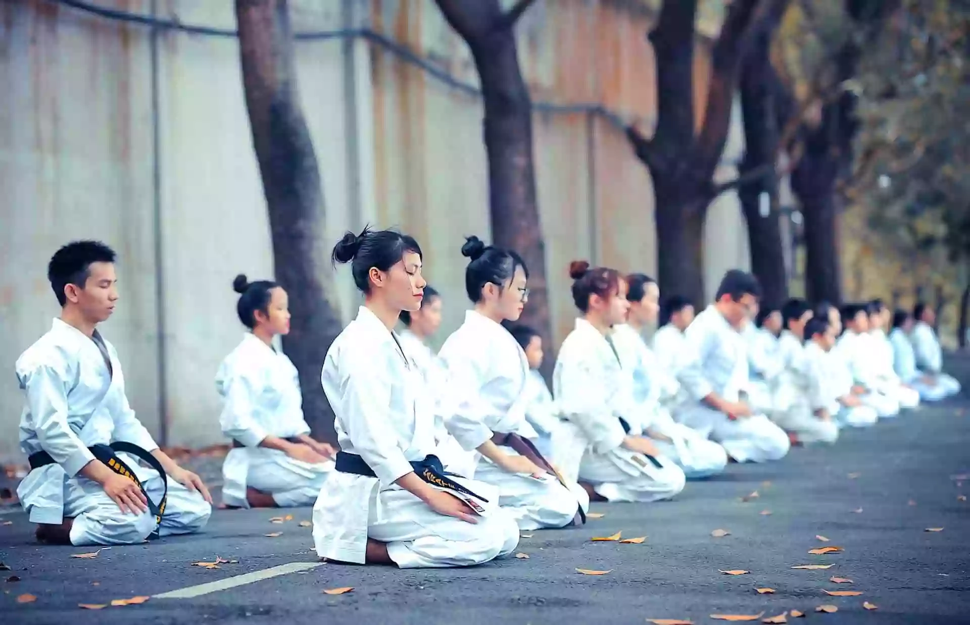 Scuola Karate Jitsu - Arti Marziali, Mindfulness e Qi Gong a Treviso e Mestre