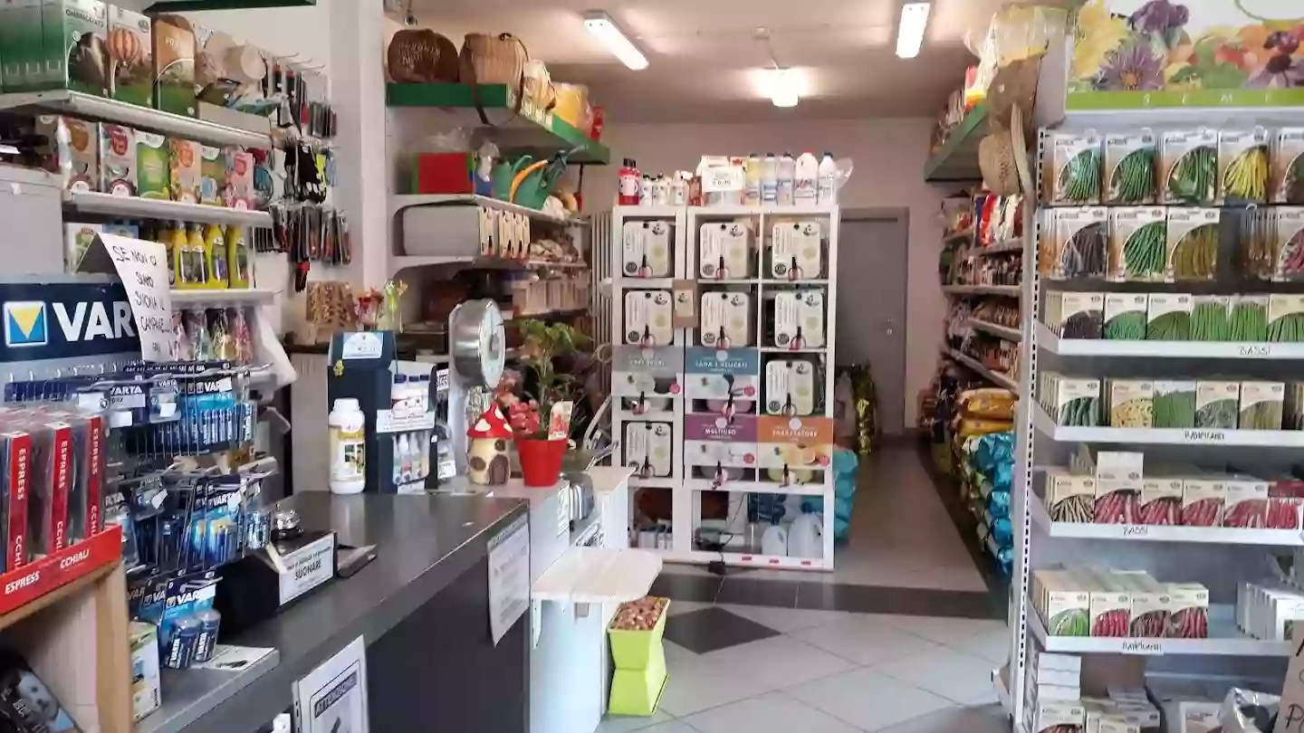 La Bottega di Romolo