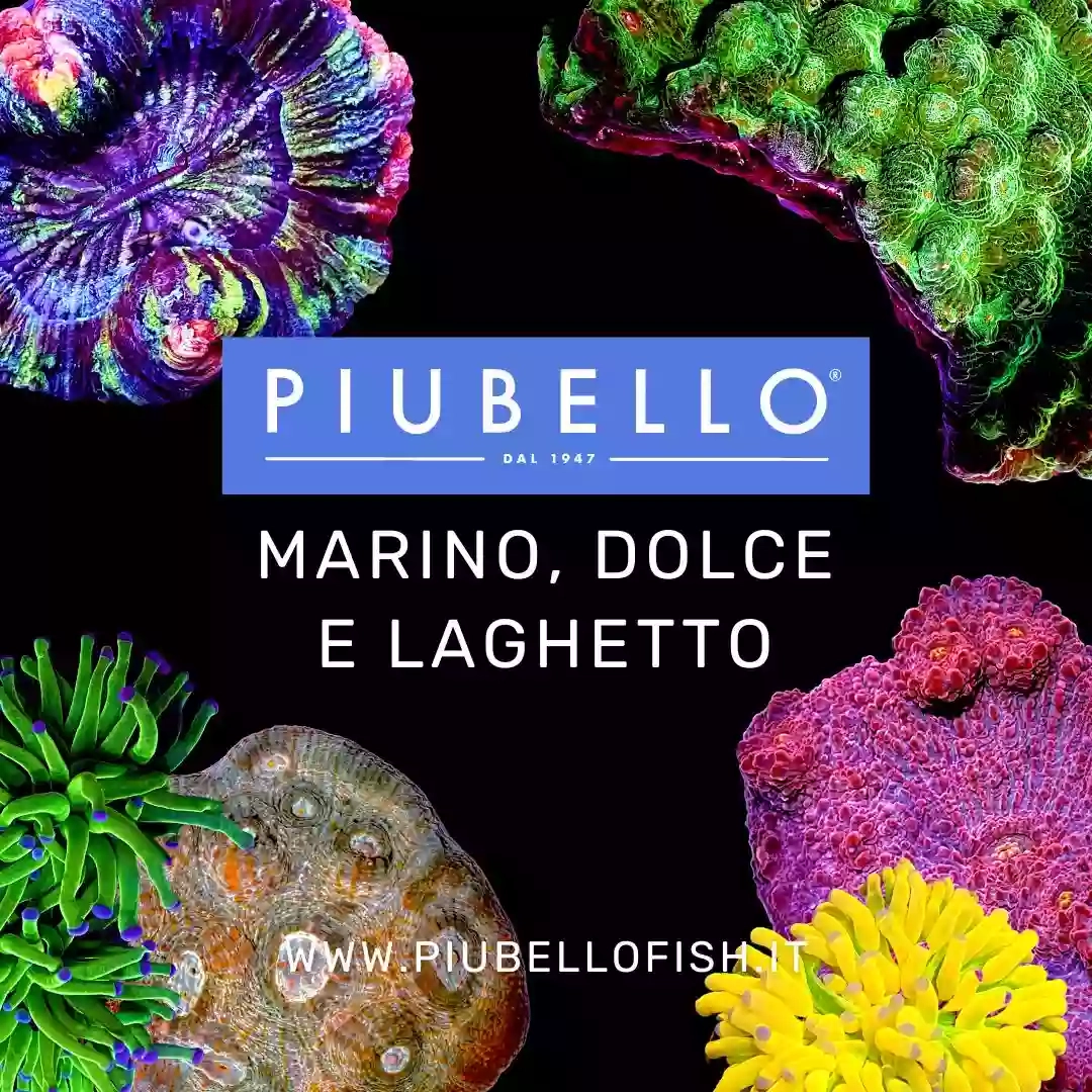 Piubello Fish