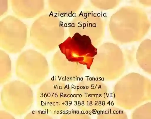Azienda Agricola Rosaspina di Tanasa Valentina