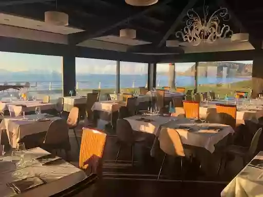 Medusa - Lounge Restaurant