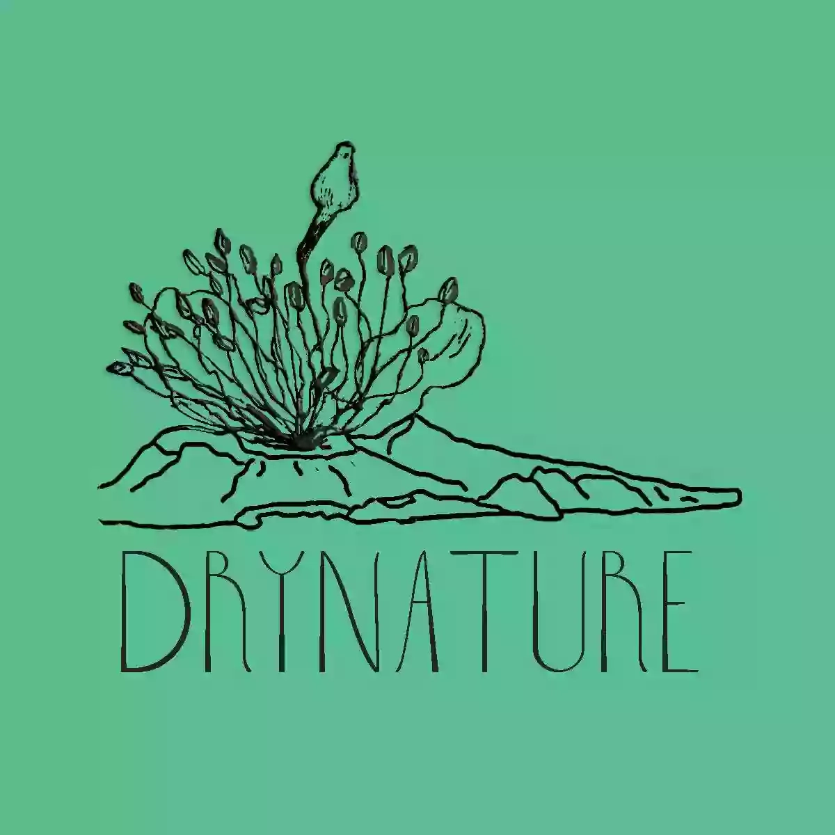DryNature