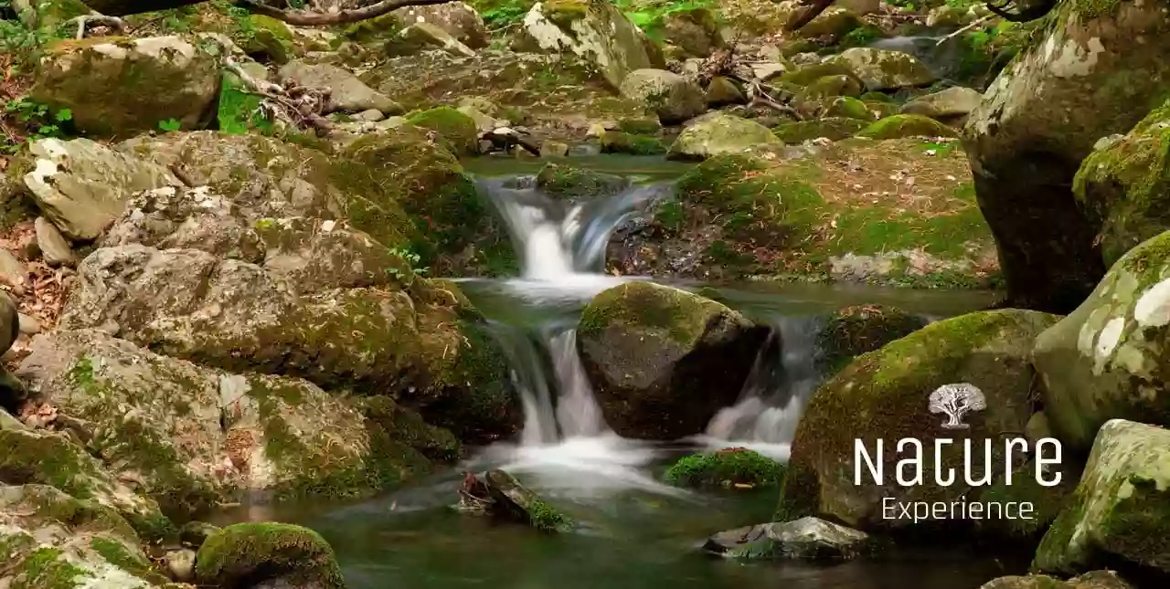 Riserva Naturale Orientata Bosco di Malabotta. Rocche d'Argimusco