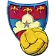 Calcio Padova S.p.A.