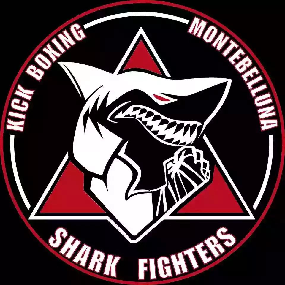 Sharkfighters kickboxing e mma