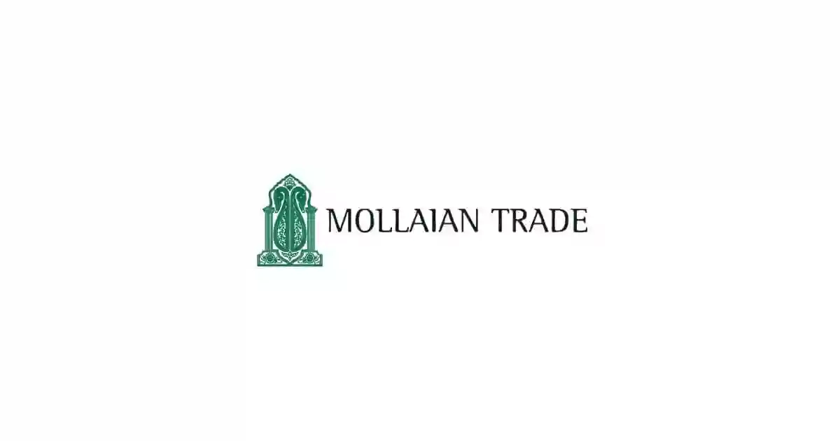 Mollaian Trade - Tappeti Antichi, Moderni e Persiani dal 1972