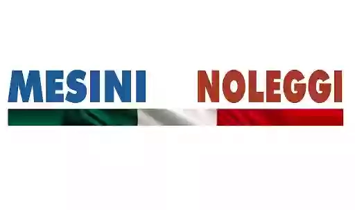 Adria Noleggi Srl - MESINI FRANCHISING