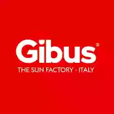 GIBUS RED Hub