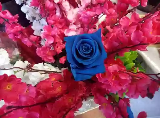 Fioreria La Rosa Blu