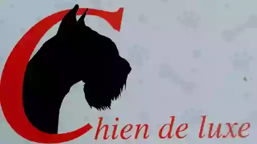 Toelettatura Chien de Luxe