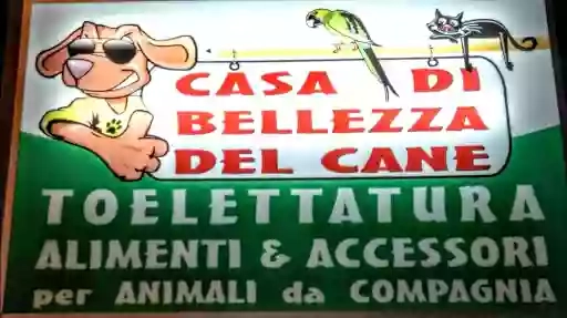 Casa Di Bellezza Del Cane