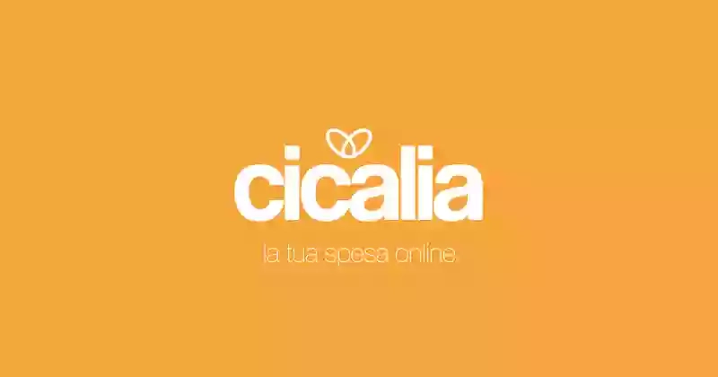 Cicalia.com