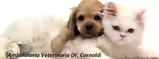 Ambulatorio veterinario Dott. Cornoldi