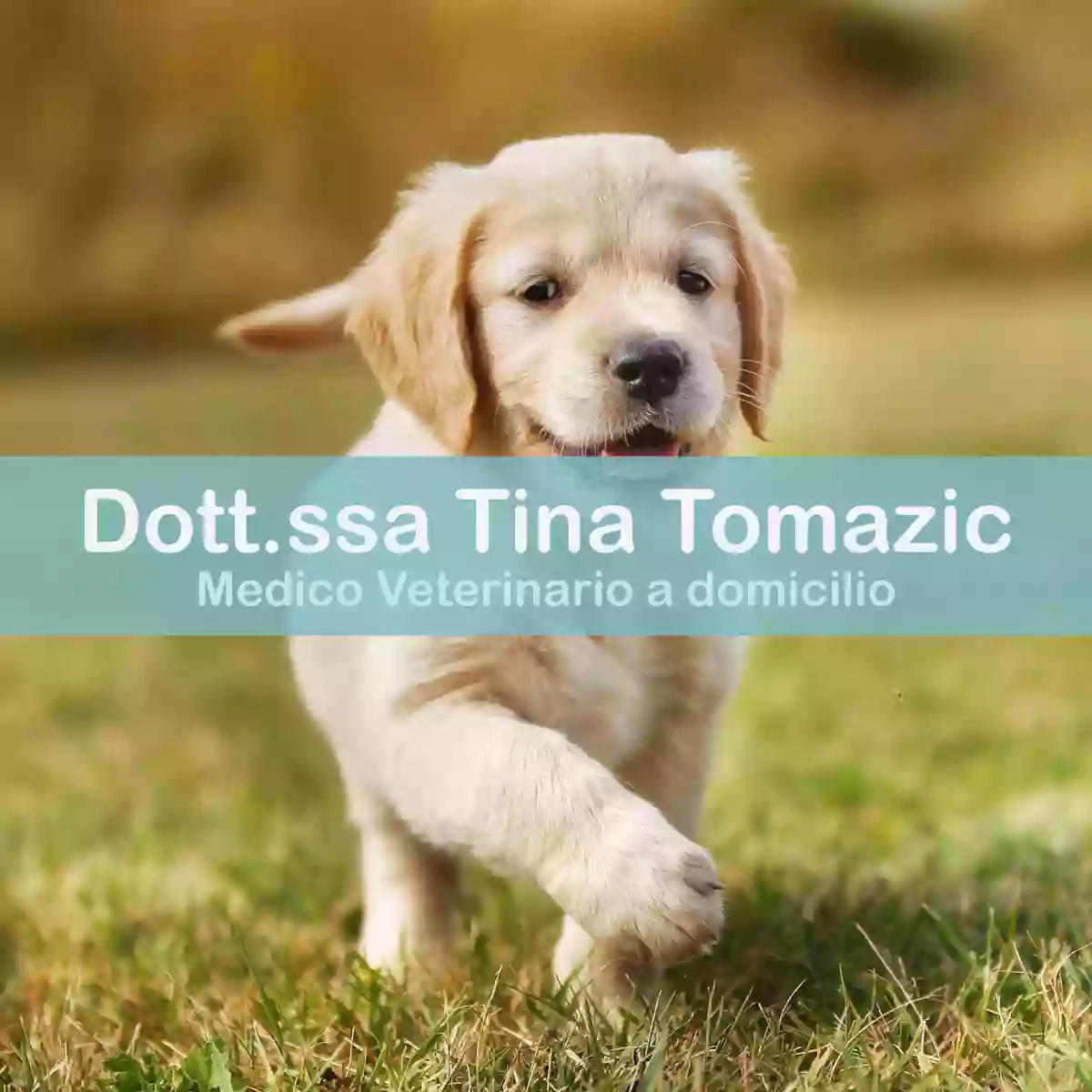 Veterinario a domicilio Dott.ssa Tina Tomazic