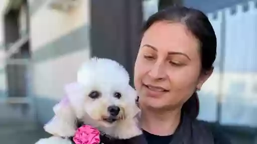 Happy Dog Toelettatura di Danci Maria