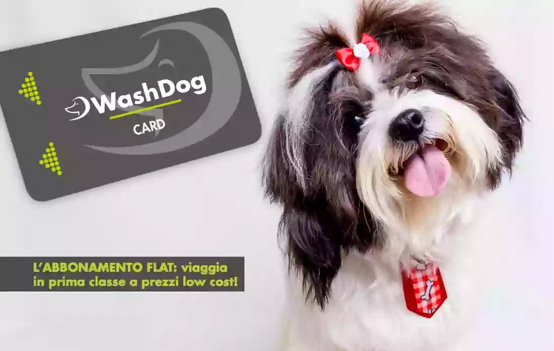 Washdog24h | Lavaggio cani & toelettatura | Dalmine