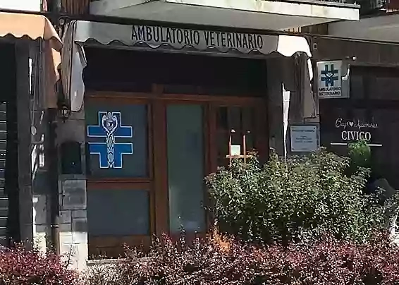 Ambulatorio Veterinario