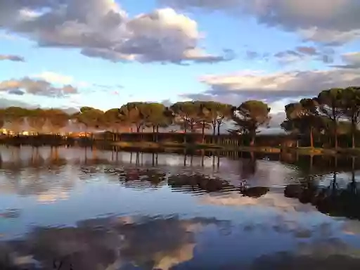 Ristorante Lago Giardino