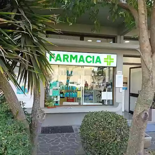 Farmacia della Pace
