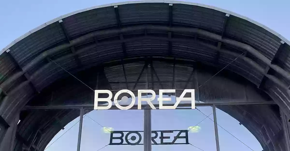 Borea