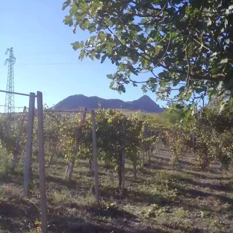 Cantina I Salici, di Claudio Gazzola