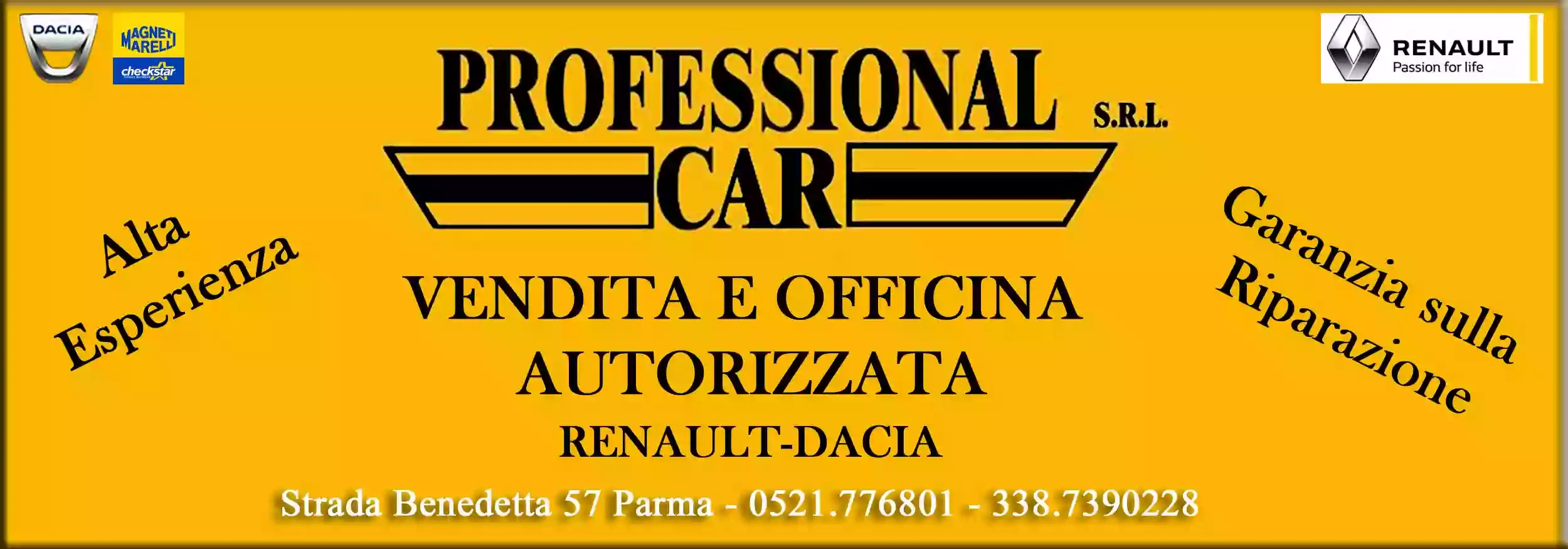 Professionalcar Srl (Meccanico)