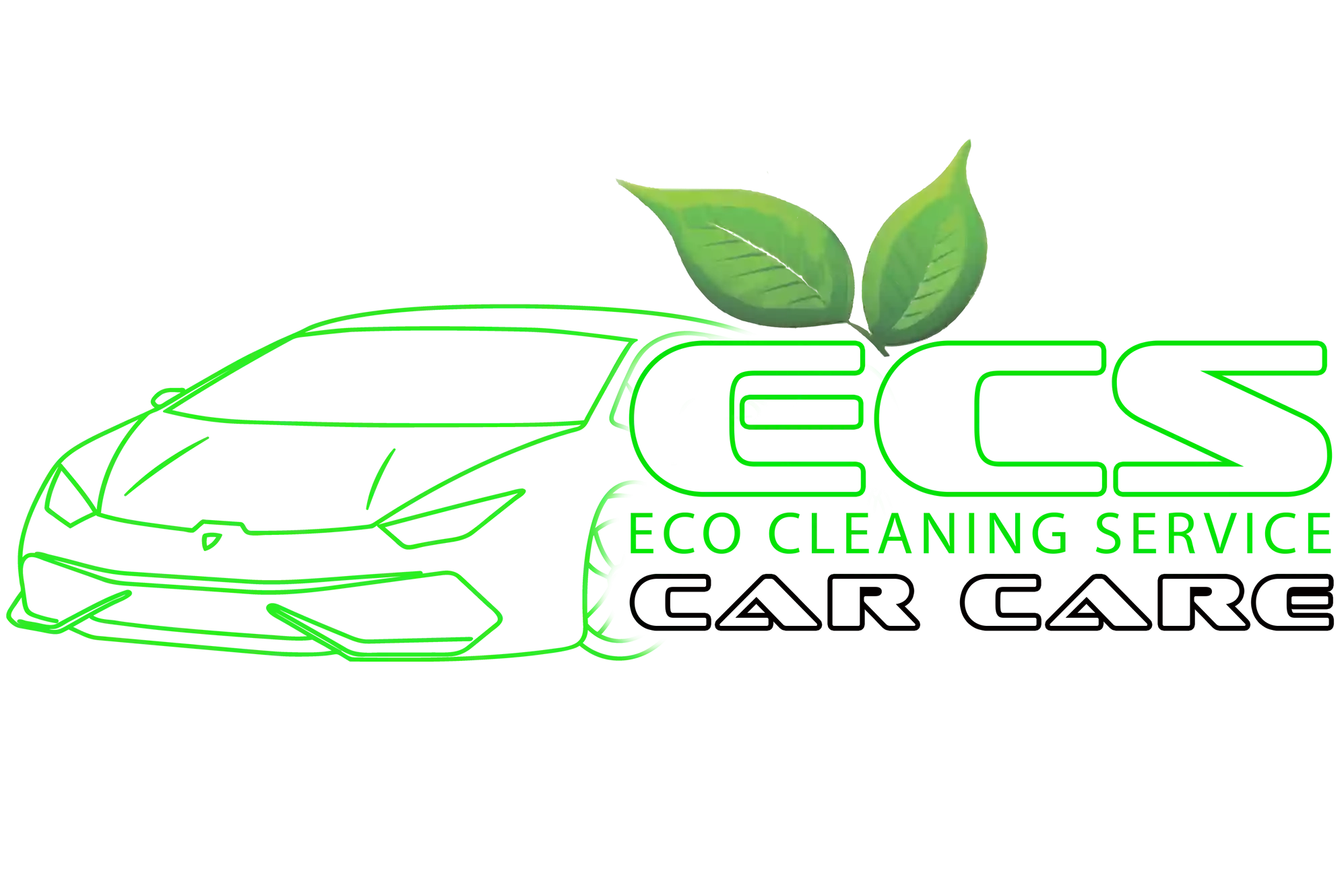 Eco Cleaning Service