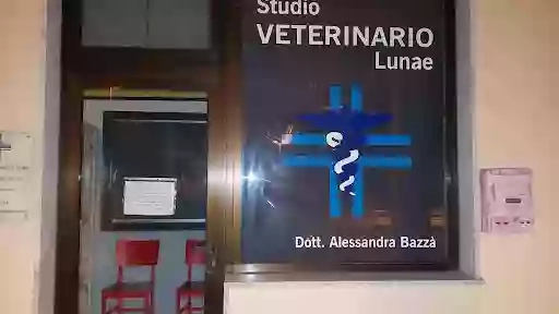 Veterinario Studio LUNAE di Alessandra Bazzà