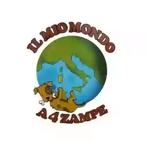 Il mio mondo a 4 zampe