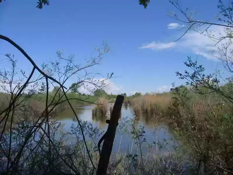 Riserva Naturale Torbiere di Marcaria