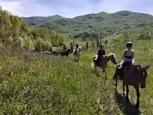 Horse Riding Tours & Trekking