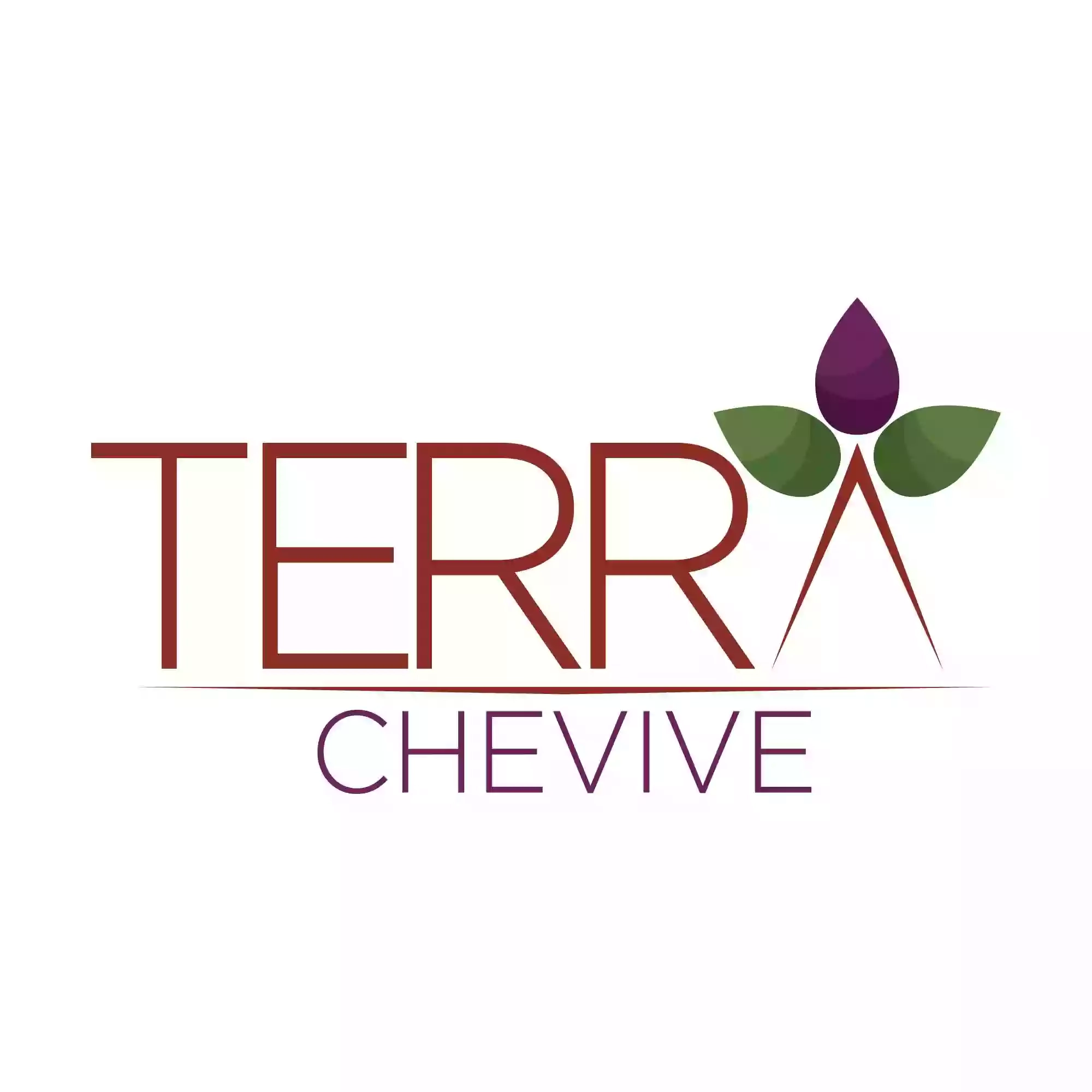 Terra Che Vive - Authentic food & wine experiences in Puglia