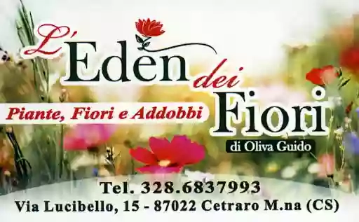 L'Eden dei Fiori | Fioraio a Cetraro.