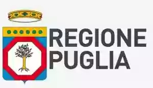 Salento Formazione | Ente di Formazione Professionale accreditato dalla Regione Puglia