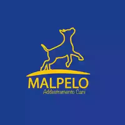 Centro Cinofilo "Malpelo" - Pensione Cani Addestramento Agility Dog