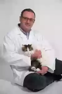 clinica veterinaria messapica del Dottore Russo