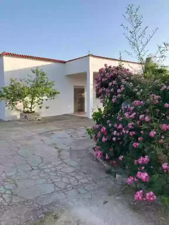 Casa Domitia