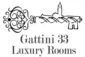 Gattini33