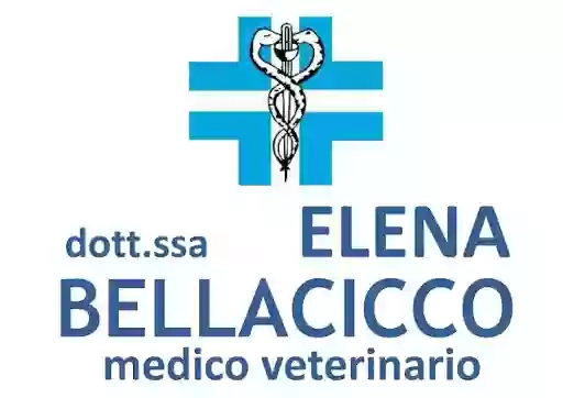 VETERINARIO dott.ssa Elena BELLACICCO