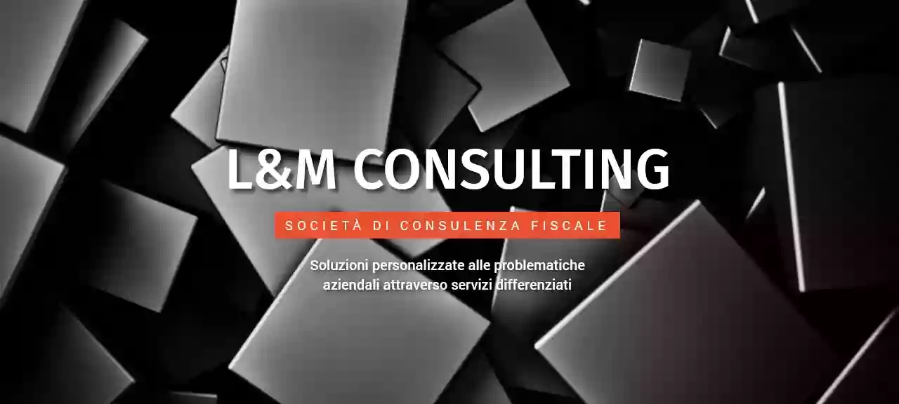 L&M Consulting