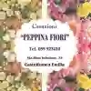 PEPPINA FIORI