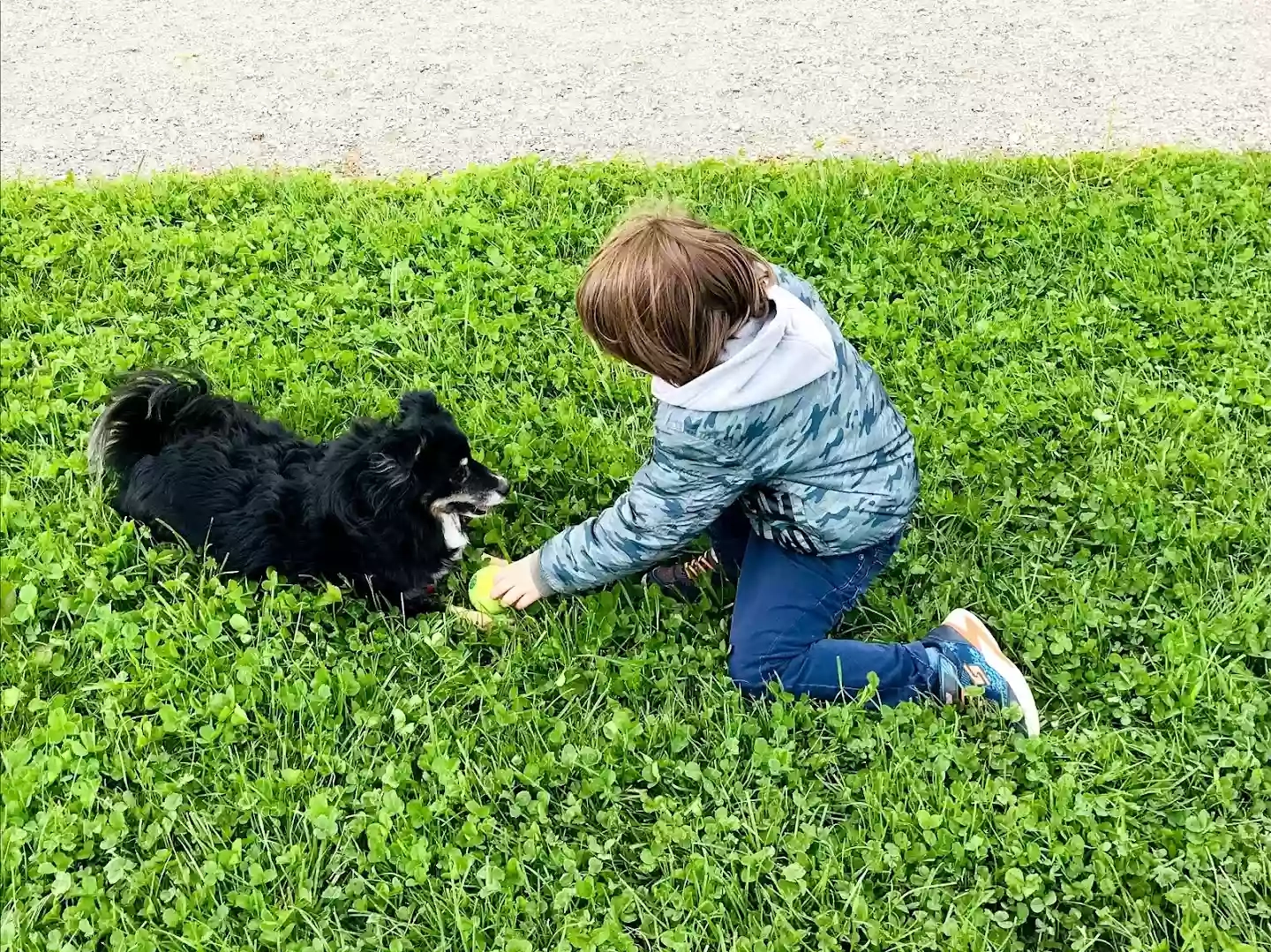 Pet Therapy Reggio Emilia