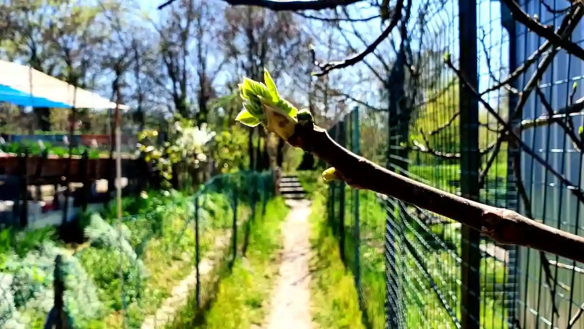 Psicologa Bologna - Dott.ssa Marica Vignozzi